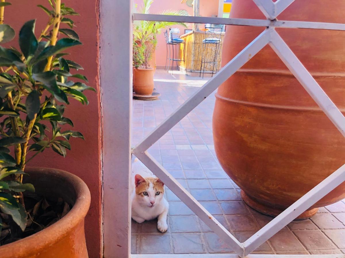 Riad Dihya Marrakesh Exteriör bild